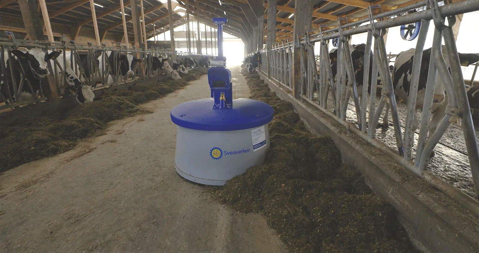dairy farming in Germany