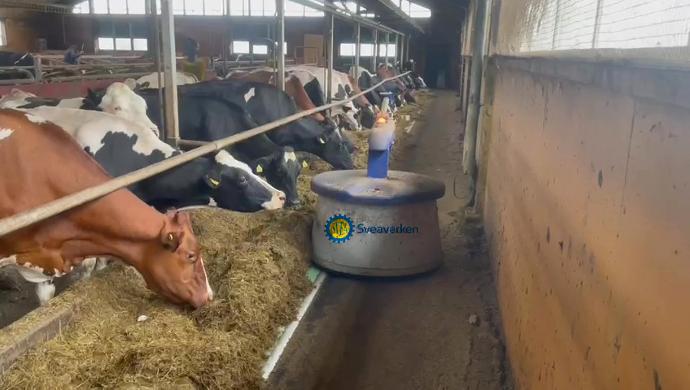 Sweden dairy farming