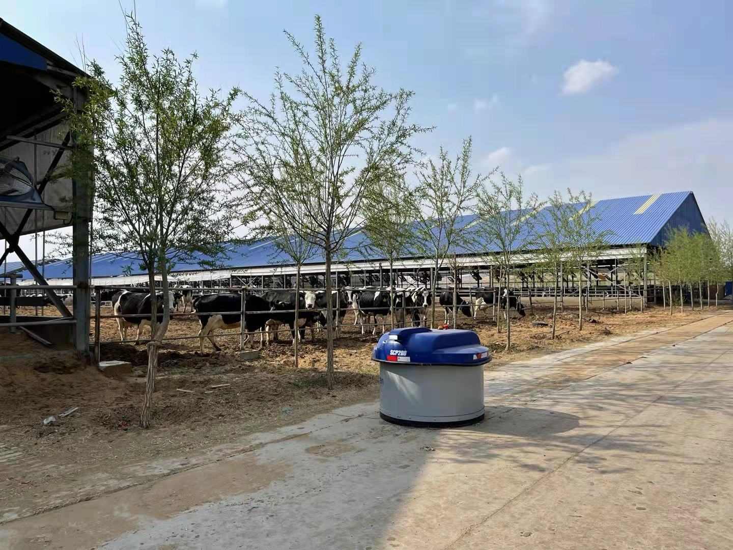 cattle feeding systems